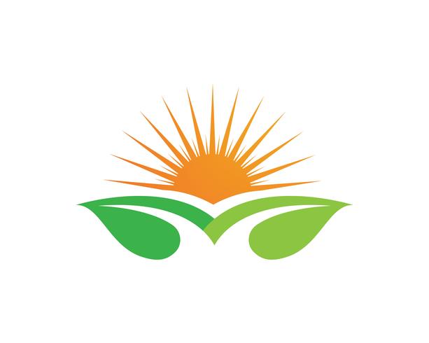 Sun and leaf go green leaf logo symbols vector