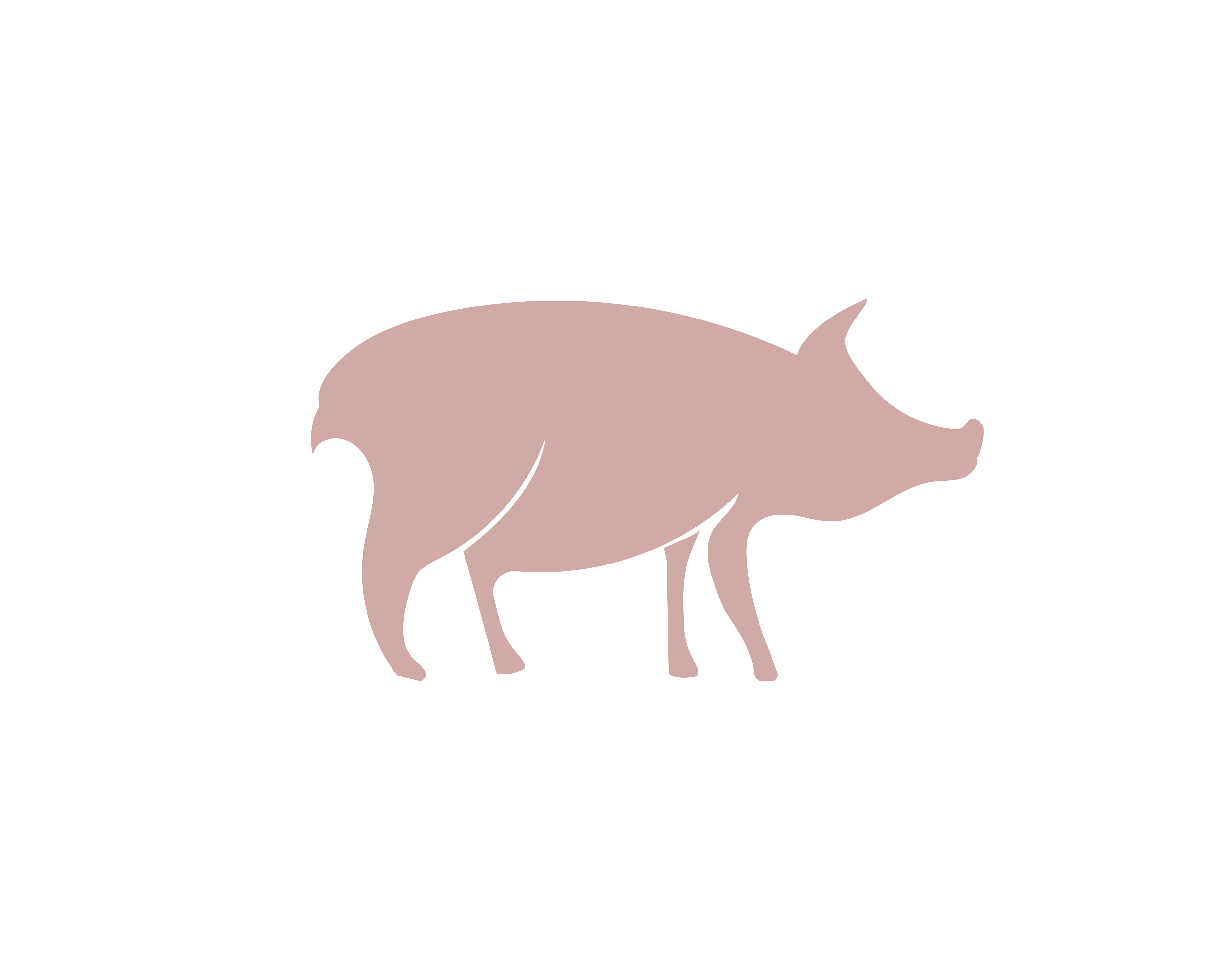 Pig head logo animal - Download Free Vectors, Clipart Graphics & Vector Art