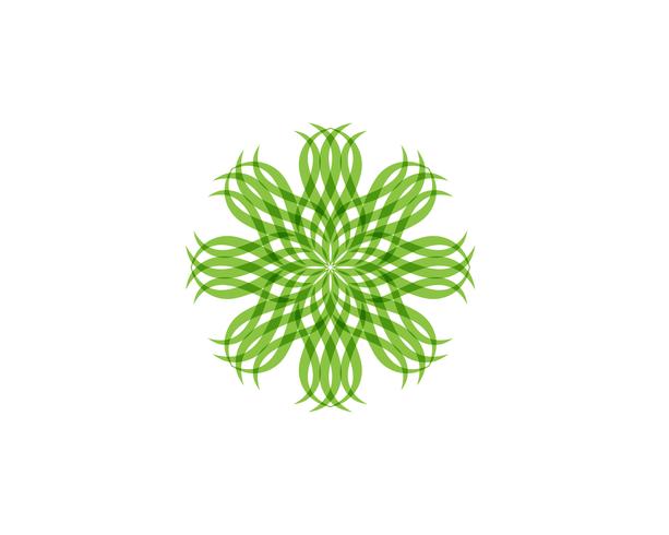 Logotipos de vector de elemento de naturaleza de hoja verde ecología