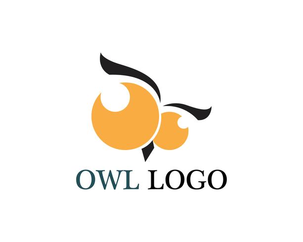 Owl head bird logo vector template animal