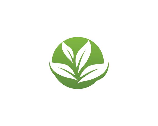 green leaf ecology nature element vector icon