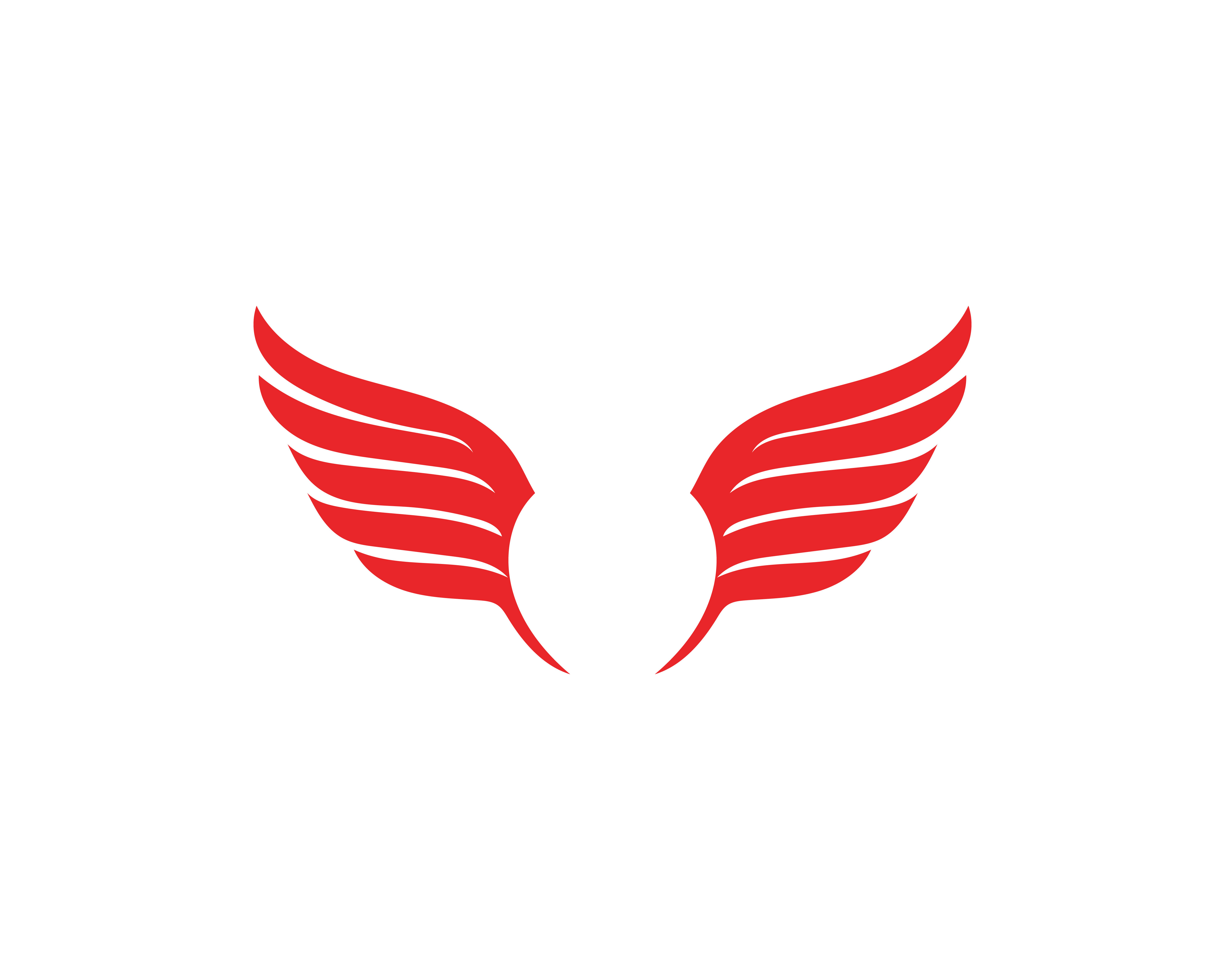 Falcon Wing Logo Template vector icon 580619 - Download Free Vectors