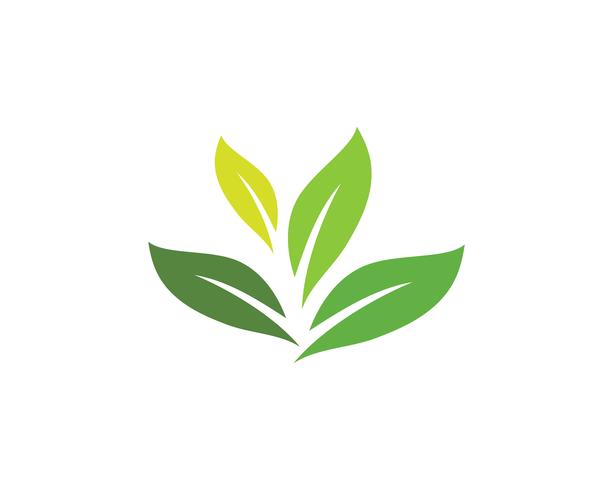 green leaf ecology nature element vector icon