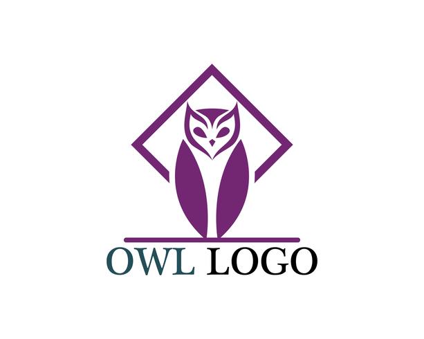 Owl head bird logo vector template animal