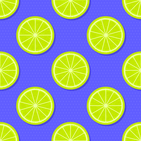 Slices Lime Summer Background vector