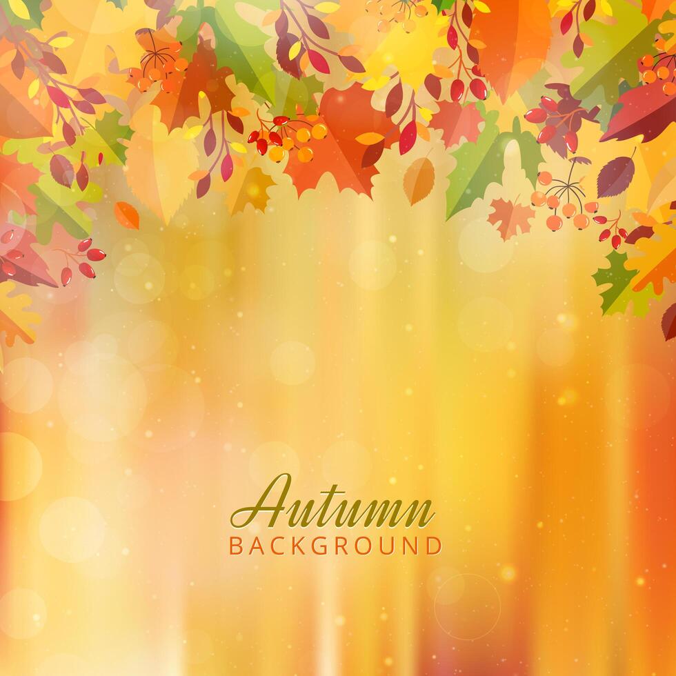 Autumn background with leaves vector