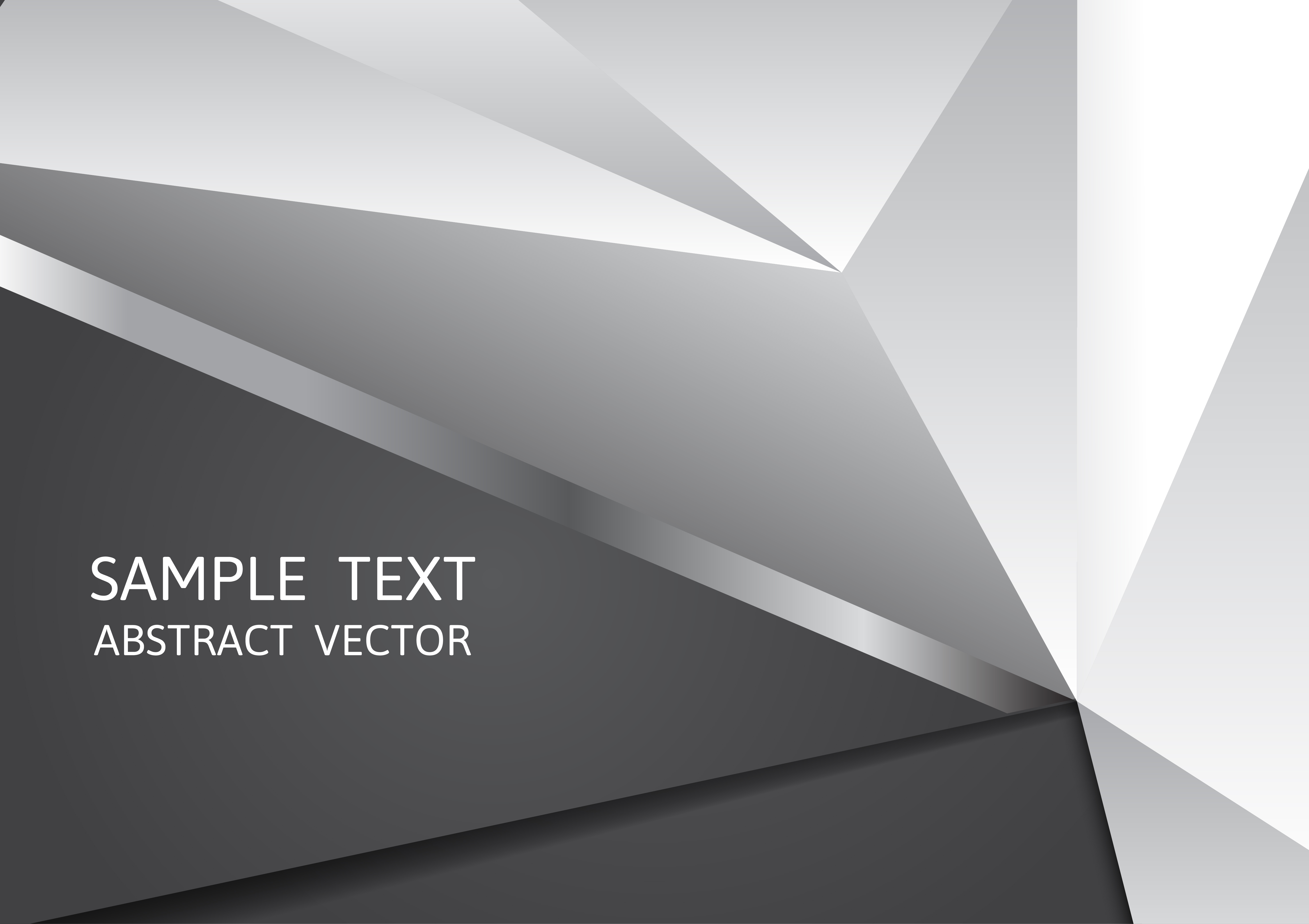 Geometric Abstract Vector Background Black And White Color With