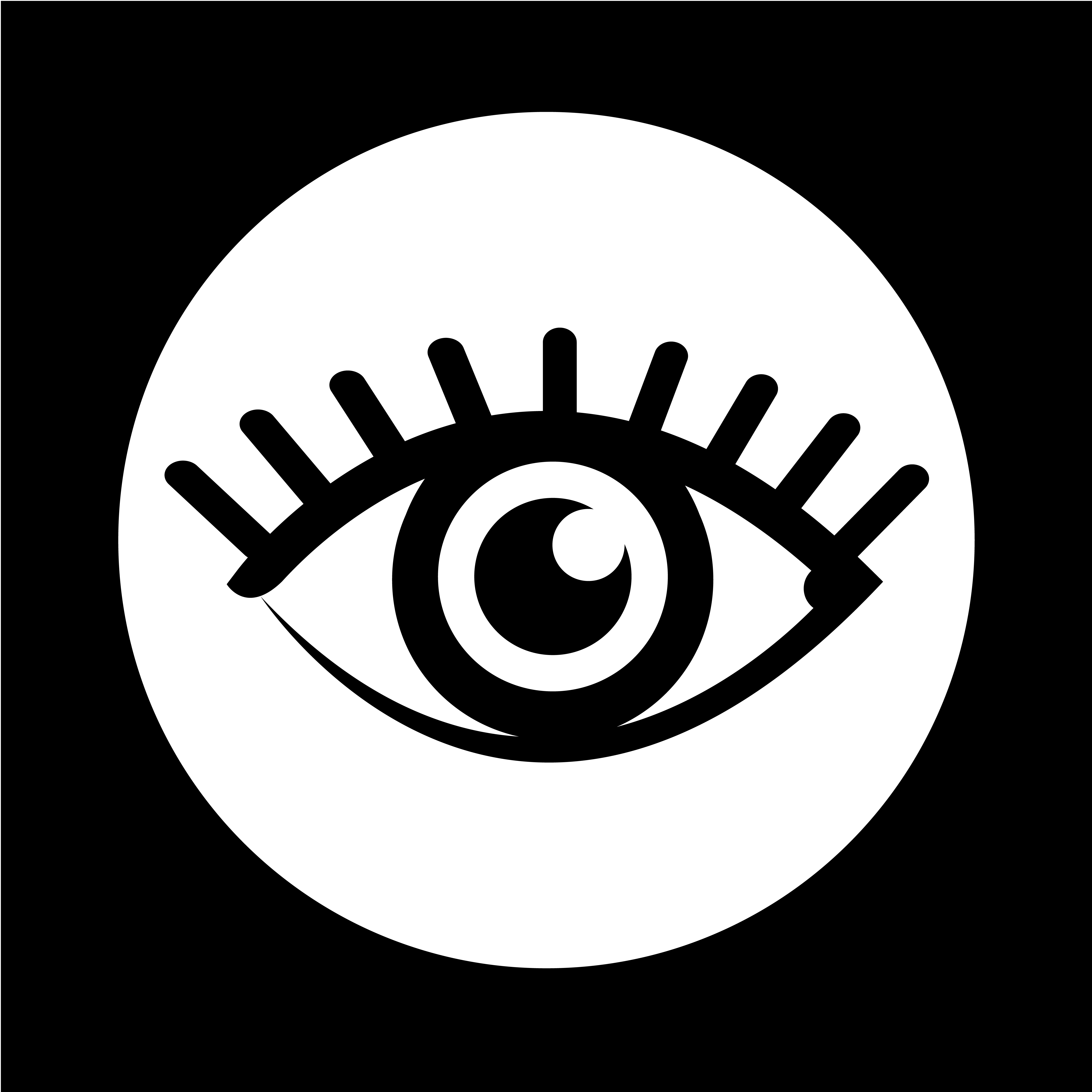 Vector Eye Icon