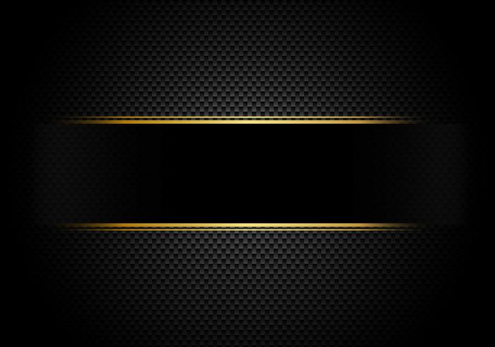 Carbon fiber background and texture and lighting with black label and gold line. Luxury style. Material wallpaper for car tuning or service. vector