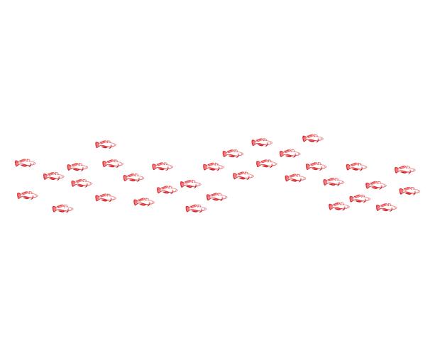 Fish logo template. vector symbol of fishing club or online 