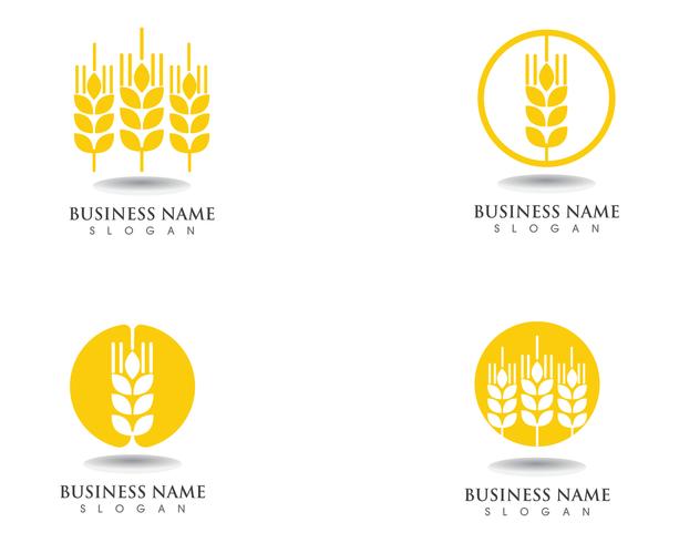 wheat Logo and symbols Template vector icon design
