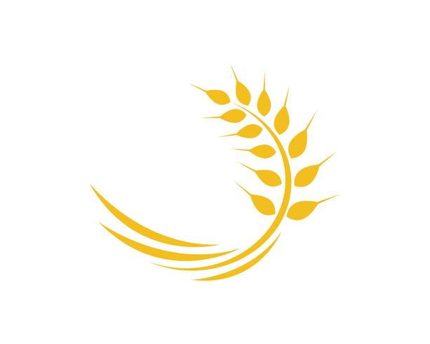 Agriculture wheat Logo Template vector icon design