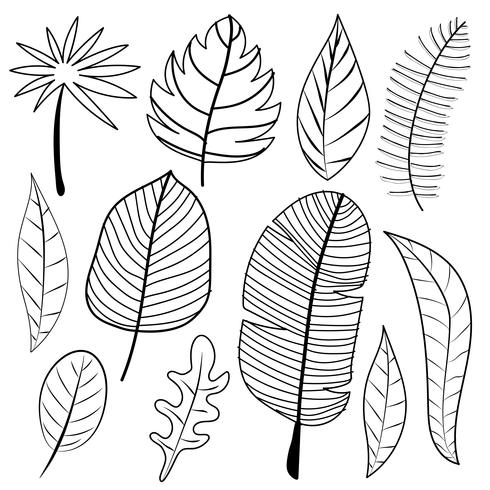 Leaves Doodle Vector Set. Vector Illustration.