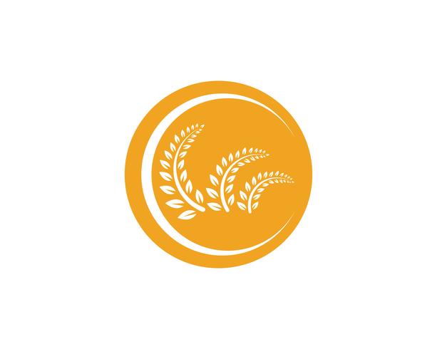 Agriculture wheat Logo Template vector icon design app