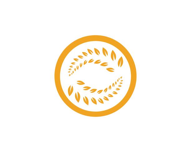 Agriculture wheat Logo Template vector icon design app