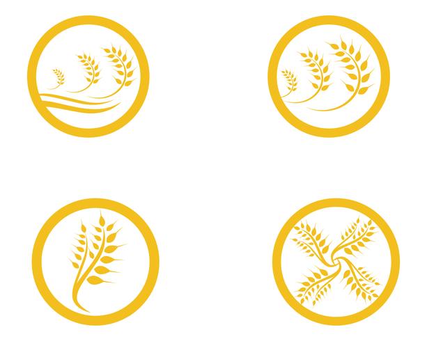 Agriculture wheat Logo Template vector icon design