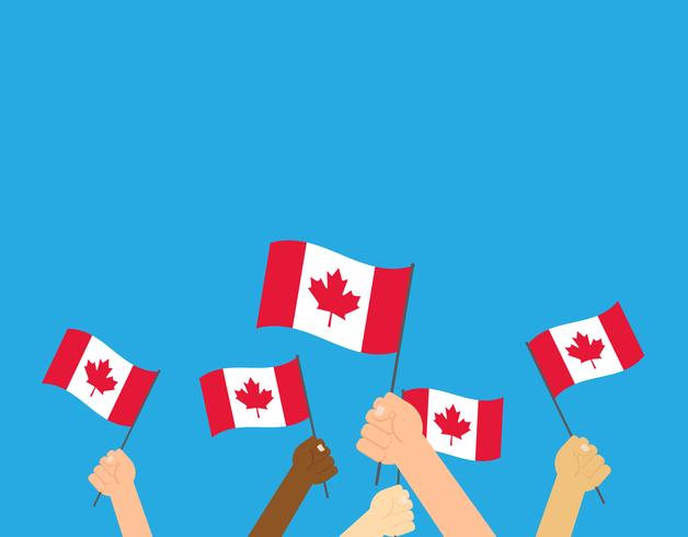 Manos de ilustración vectorial sosteniendo banderas de Canadá sobre fondo blanco vector