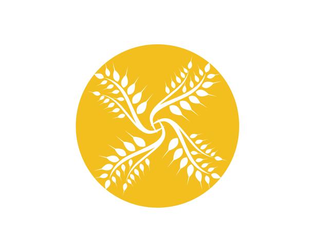 Agriculture wheat Logo Template vector icon design