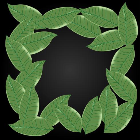 Leaf background pattern ,copy space vector