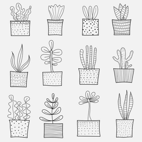 Línea mano dibujado Doodle conjunto de vectores de cactus. Ilustración de vector de esquema hecho a mano.