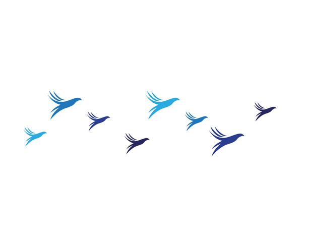  bird fly sign abstract template icons vector