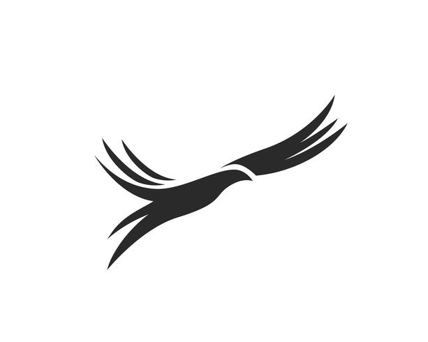 Ilustración de vector de plantilla de logotipo de aves