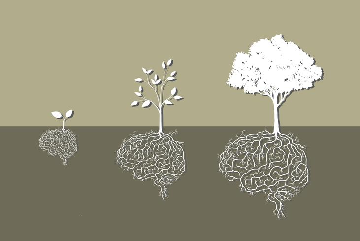 Young plant with brain root, vector