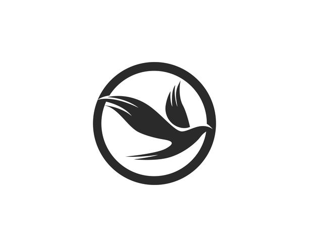  bird fly sign abstract template icons vector