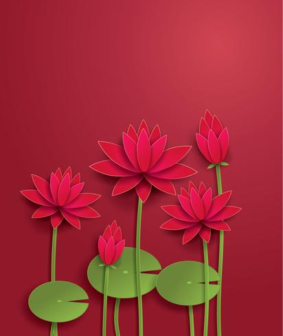 vector lotus flower