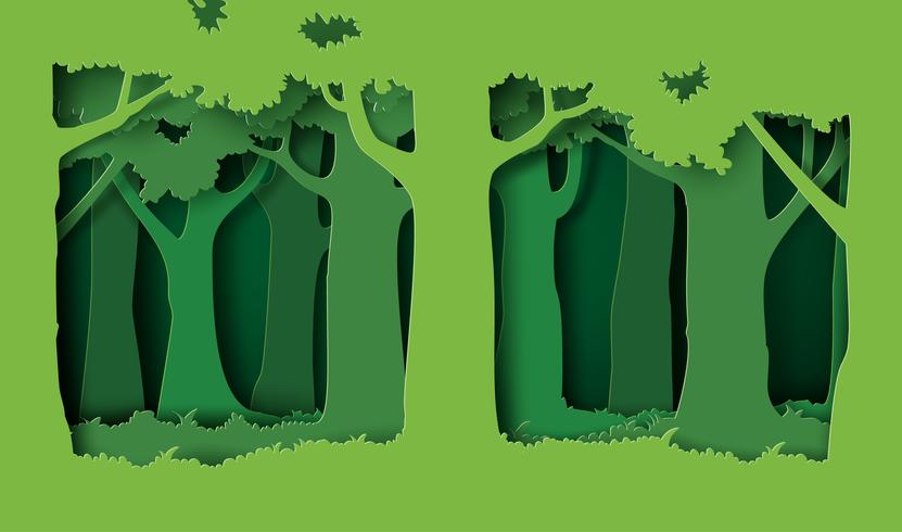 forest with trees and grass vector