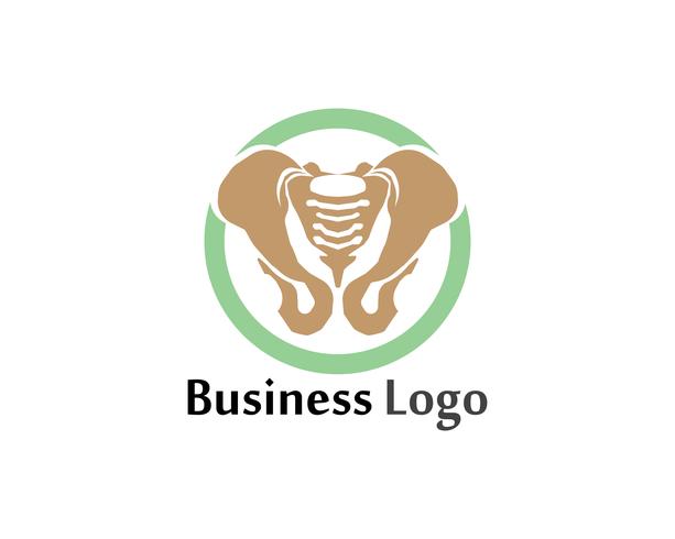 Spine diagnostics symbol logo template vector illustration design
