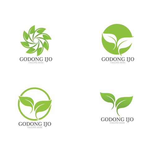 Logos de ecología de hoja verde. vector