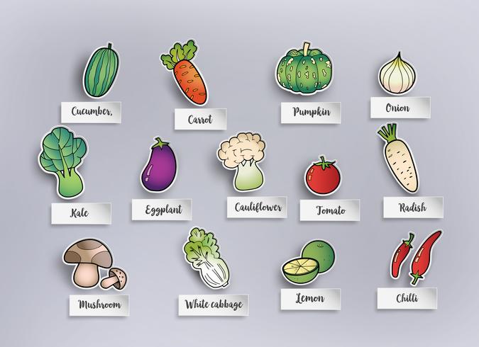 freehand drawing vegetables vector