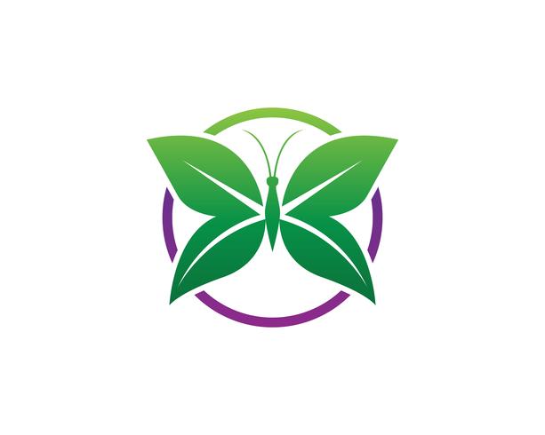 Beauty Butterfly icon design vector