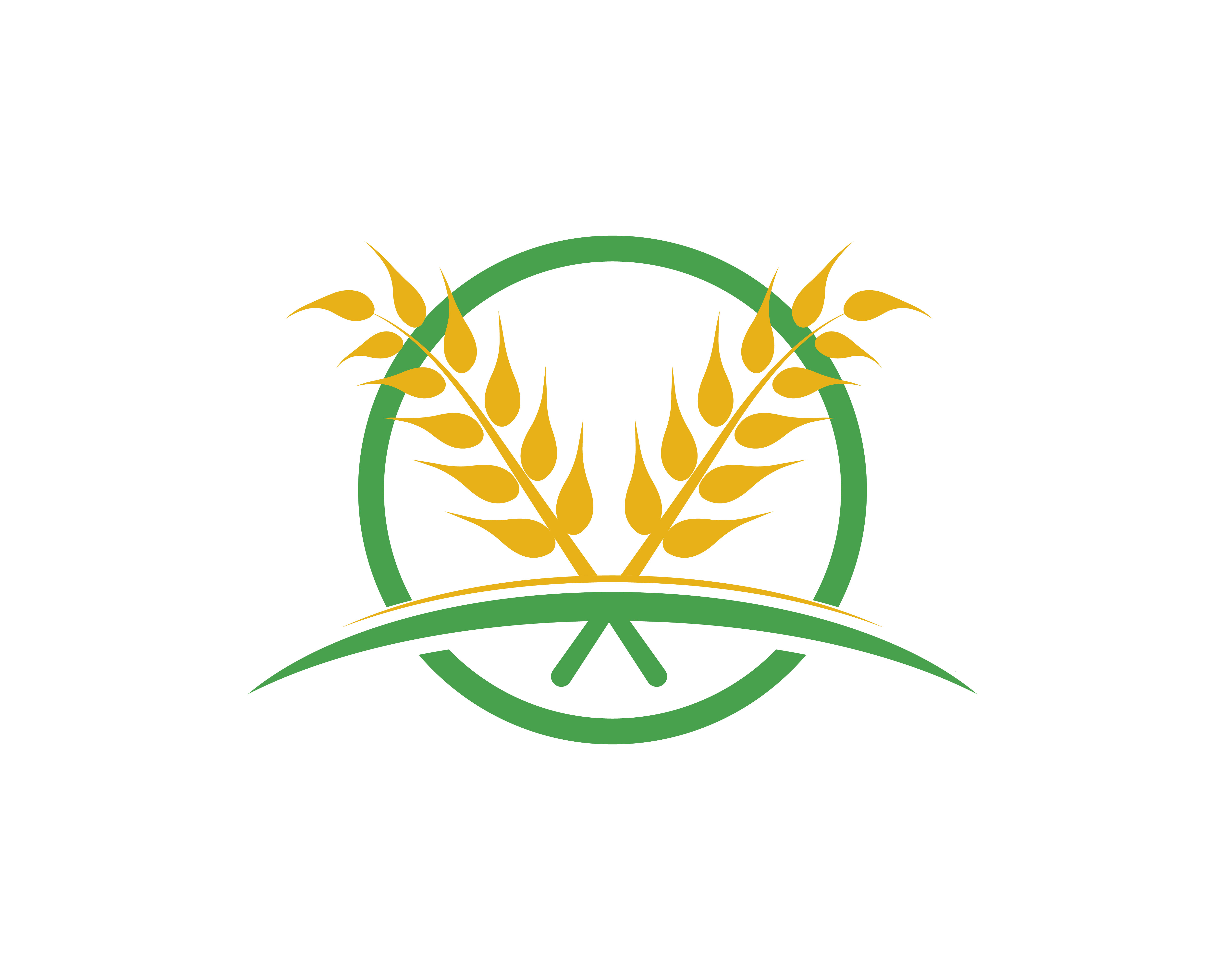 Agriculture wheat vector 586397 Vector Art at Vecteezy