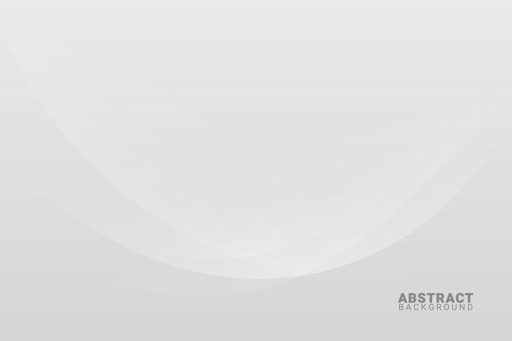 Abstract White and Grey Background.  vector