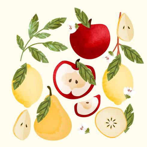 Vector Hand Drawn Fruits