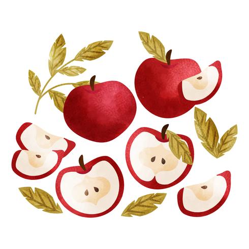 Vector Hand Drawn Apples