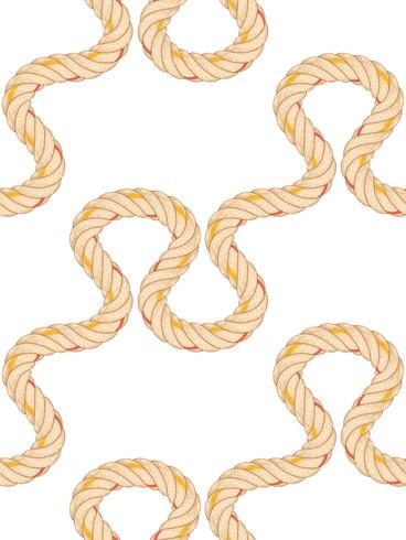 Seamless pattern with rope bending. vector