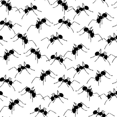 Black ants on white seamless background. vector