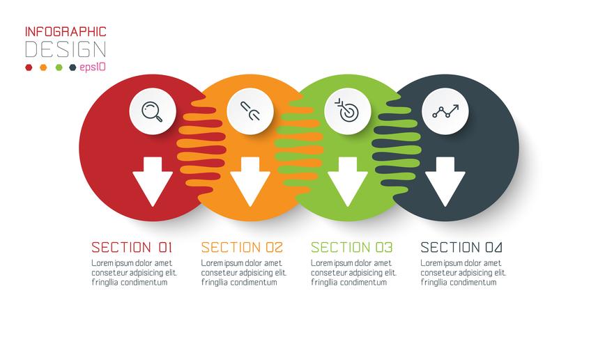 Four harmonious circle infographics. vector