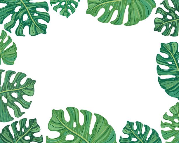 frame summer tropical leaves vector