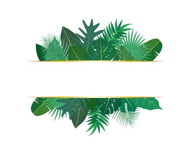 Vector la ilustración de varias hojas tropicales verdes exóticas con la bandera en el fondo blanco