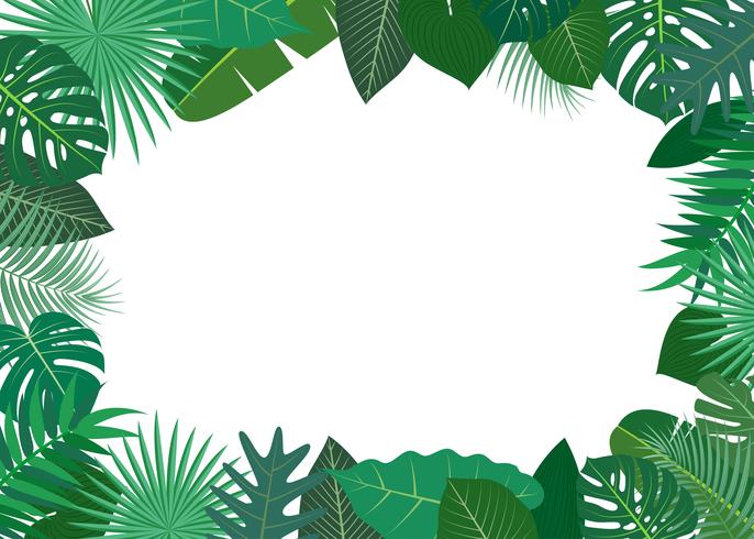 Vector illustration of frame made of green tropical leaves on white background