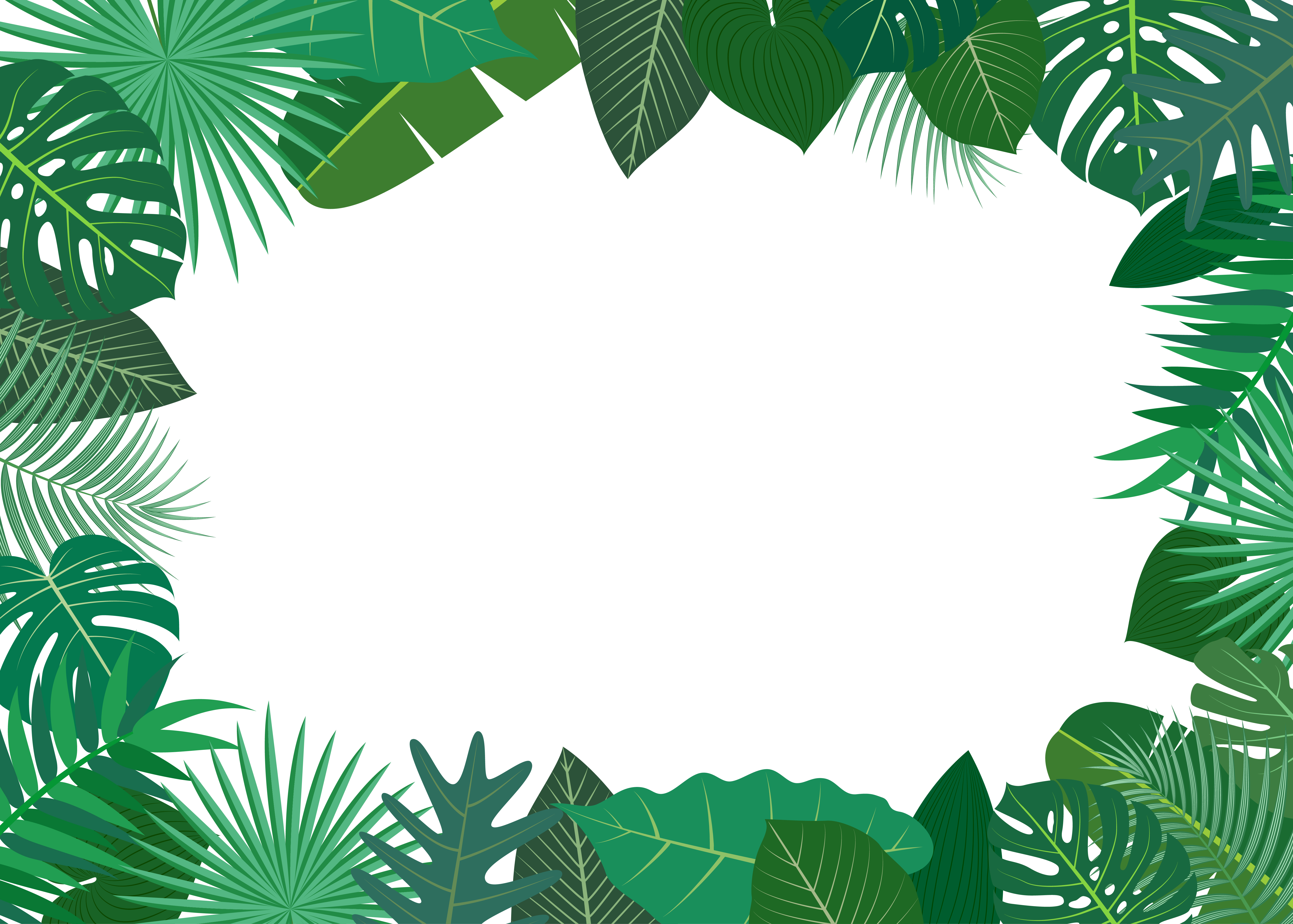 Vector illustration of frame made of green tropical leaves on white