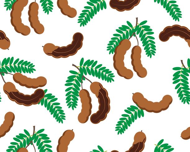 Seamless pattern of tamarind fruit isolated on white background  vector
