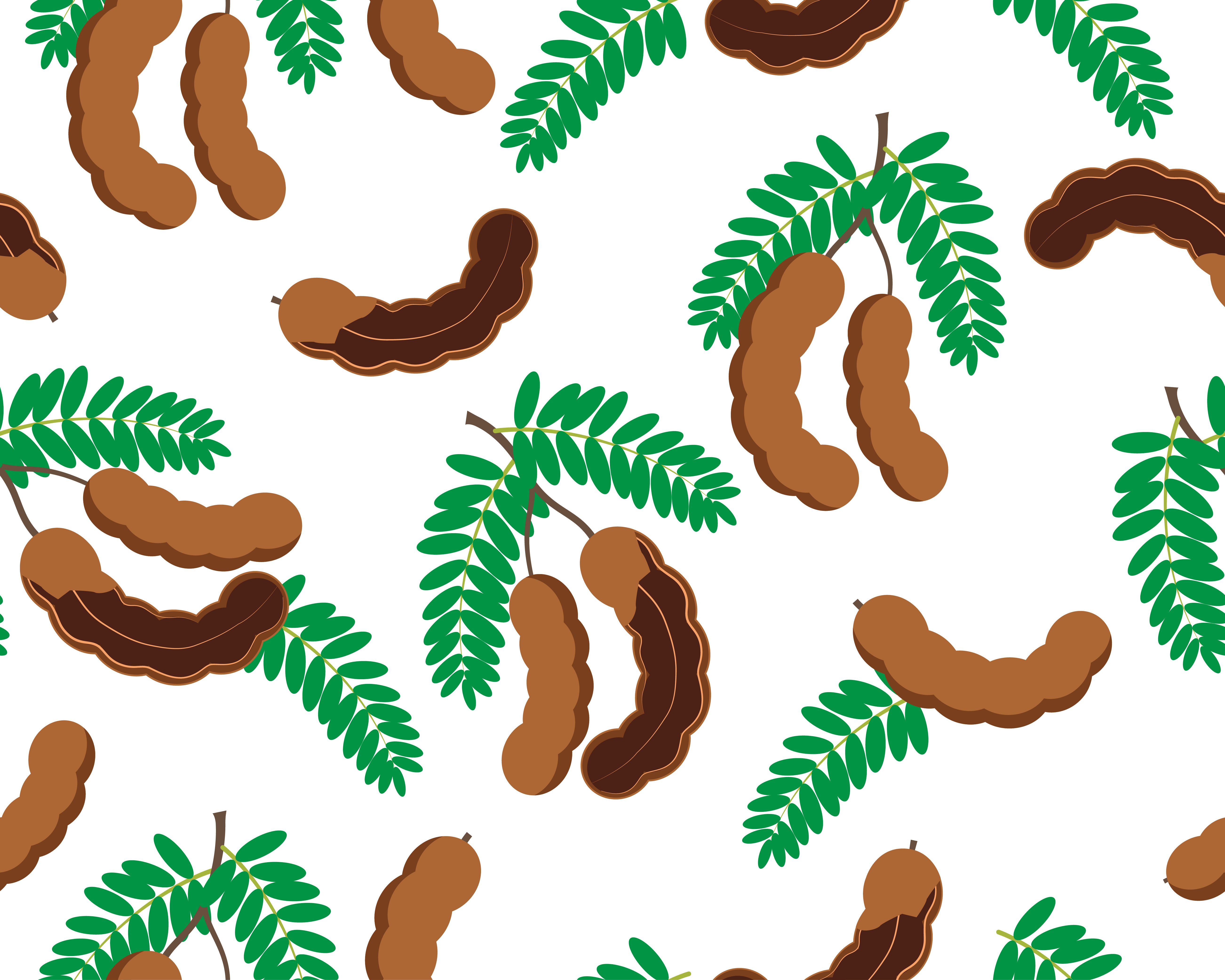 Seamless pattern of tamarind fruit isolated on white background 587698 Vector Art at Vecteezy
