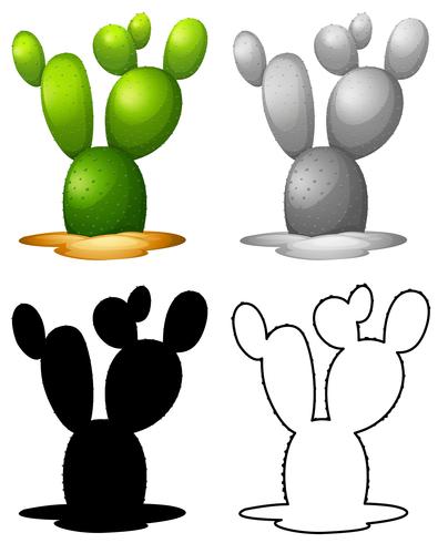 Set of nature cactus  vector