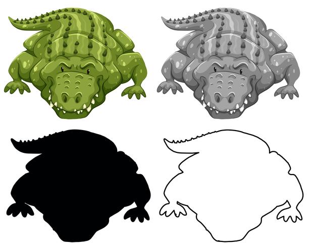 Set of crocodile character vector