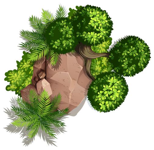 Conjunto de naturaleza rock y planta. vector